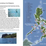 Snorkeler's Guide to Marine Life of the Philippines