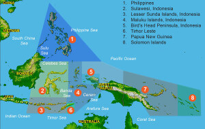 Map of the Coral Triangle from Marine Life and Natural History of the Coral Triangle by Lee Goldman and Ethan Daniels