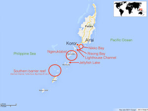Map of Palau snorkeling itinerary