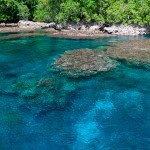 Shoreline and reef Solomon Islands photographed in the Solomon Islands for blog