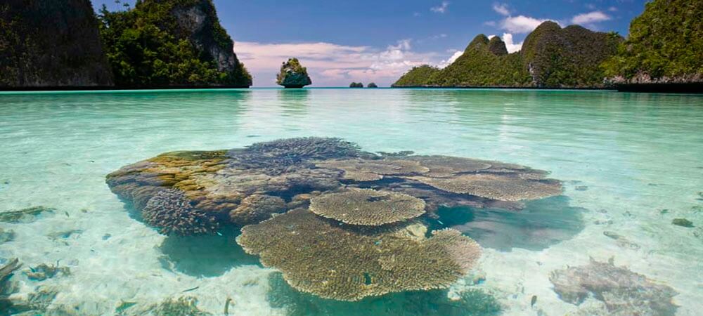 Raja Ampat Snorkeling Tour 2017 Coral Triangle Adventures