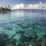 Clear water at Wakatobi National Park reveals the vibrant coral life below
