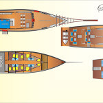 Sea Safari 8 layout of cabins and boat facilities