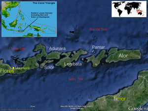 Map of Alor, Indonesia and the islands that we visit on our Coral Triangle Adventures snorkeling tour