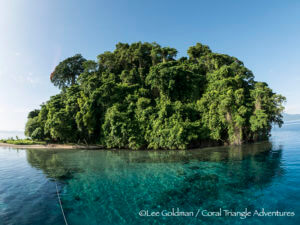 Restorff Island is a spectacular little island in Kimbe Bay, Papua New Guinea