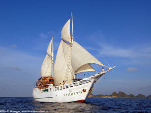 MV Pindito a vessel chartered by Coral Triangle Adventures