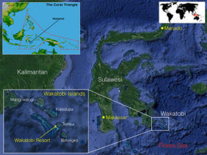 Map of Wakatobi, one of the destinations we visit for our coral triangle adventures snorkeling tours