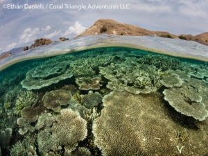 Komodo National Park has great shallow reefs to snorkel upon