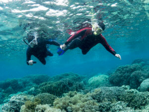 Guests snorkeling with Coral triangle adventures enjoy the many reefs found throughout the Solomon Islands