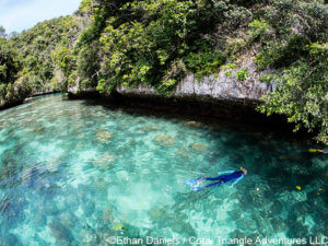 the Rock Islands of Palau offer some of the world's best snorkeling