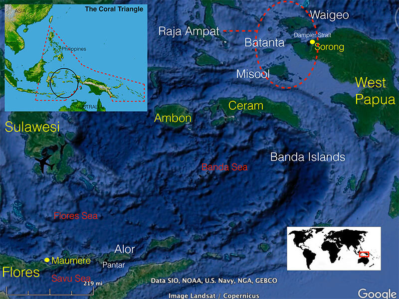 heart of the coral triangle satellite map coral triangle adventures