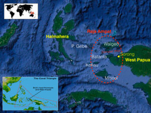 google map of halmahera and raja ampat, coral triangle adventures
