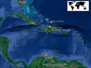 Map of Silver Banks, Dominican Republic - coral triangle adventures