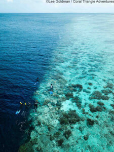 Aerial of snorkelers on the house reef in Wakatobi