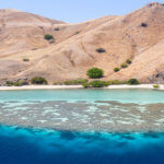 Shallow reefs we snorkel upon on our Komodo National Park snorkeling tour