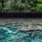 Snorkeling the shallow reefs in Palau's Rock Islands