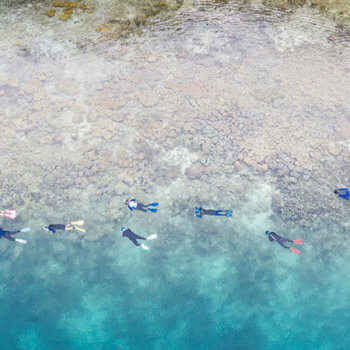 snorkeling over reefs in raja ampat