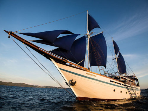 samambaia liveaboard used by Coral triangle adventures for snorkeling tours