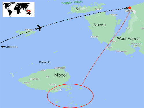 Raja Ampat route. Tour begins and ends in Jakarta. One internal flight to Sorong, West Papua.