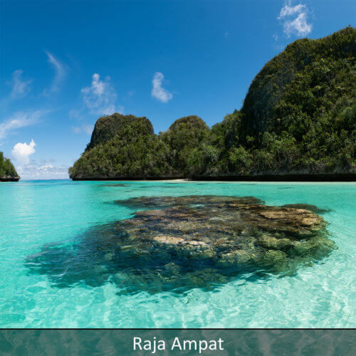 Link to Raja Ampat snorkeling tour
