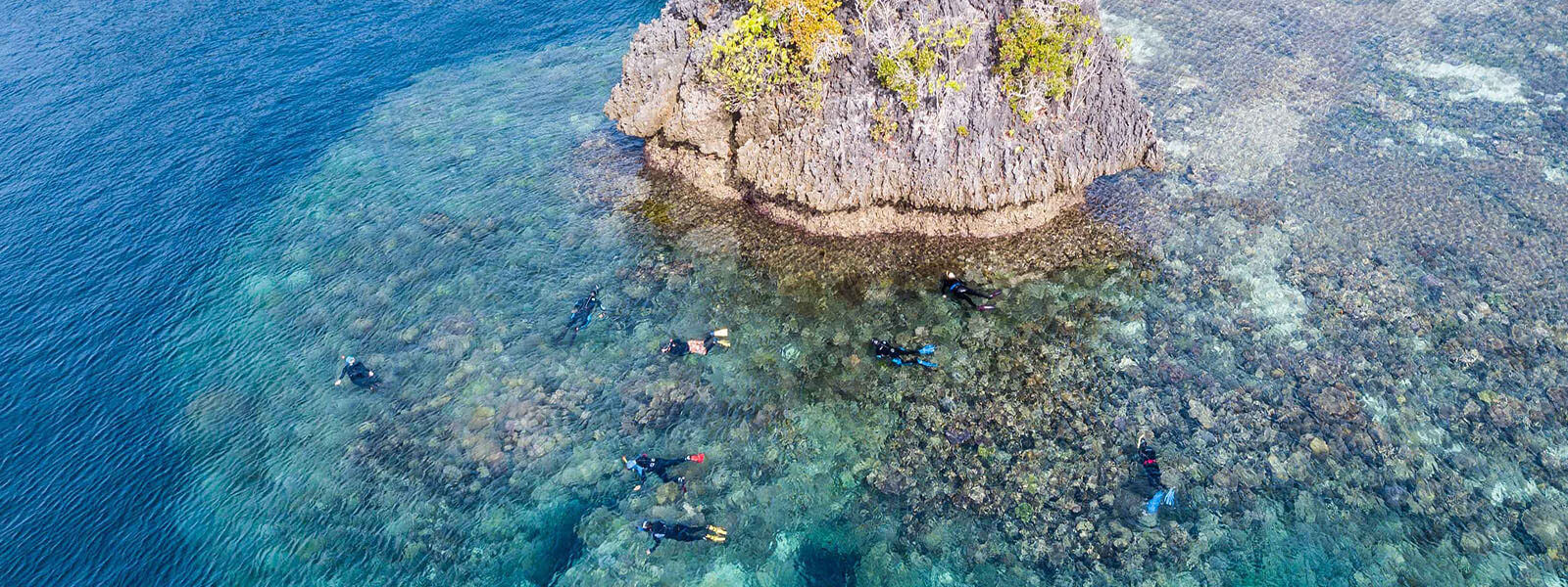 Snorkelers enjoying a reef on coral triangle adventures snorkeling tour to Raja Ampat
