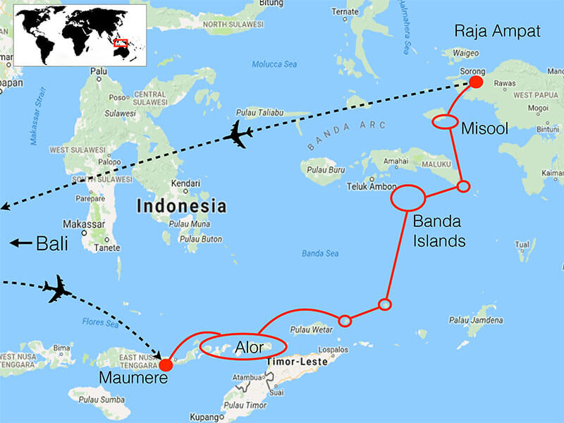 Heart Of The Coral Triangle Snorkeling Tour Coral Triangle Adventures