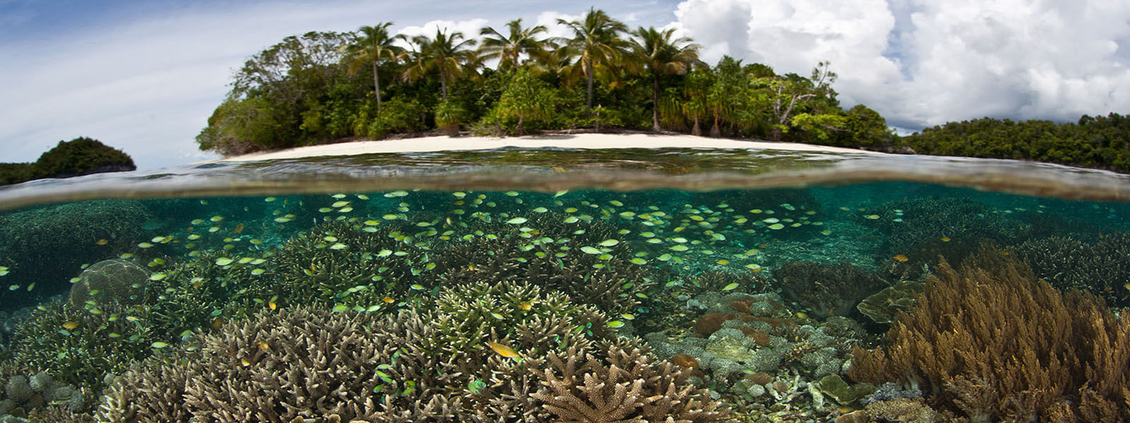 We snorkel over shallow reefs in the Solomon Islands