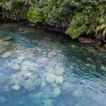 Colorful reef from above photographed in the Solomon Islands