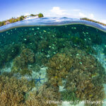 Split reef and sky photographed in the Solomon Islands