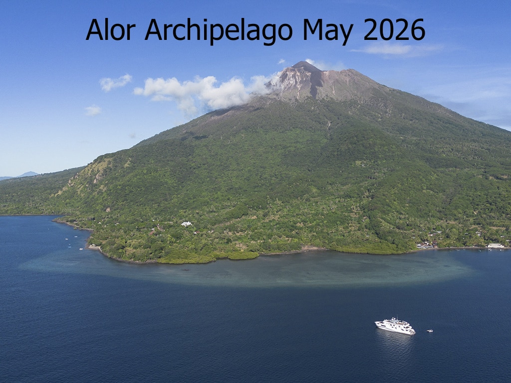 Alor Archipelago May 2026 2